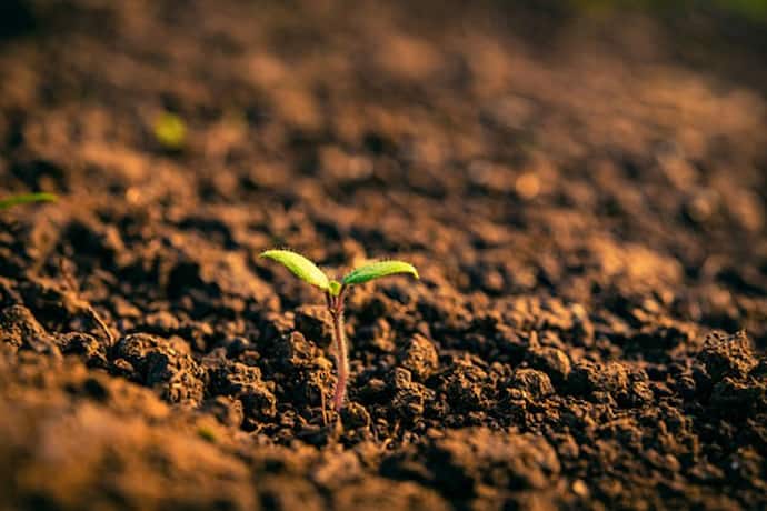 Save Soil Movement:  मिट्टी के बारे में वो 15 महत्वपूर्ण फैक्ट जो सभी को जानना चाहिए