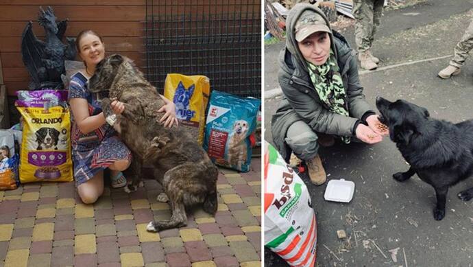  Russia Ukraine War: भूखे-प्यासे भटकते डॉग्स को देखकर पसीजा इस बिजनेस वुमेन का दिल, पूरा होटल बना दिया शेल्टर