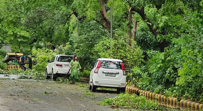 Weather report: दिल्ली में आंधी से उखड़े पेड़, मेनका गांधी खुद हटाते दिखीं, कई राज्यों में भारी बारिश का अलर्ट