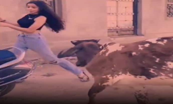 सांड को पसंद नहीं आया सड़क पर खुलेआम लड़की का डांस करना, वायरल वीडियो में देखिए क्या किया उसके साथ 
