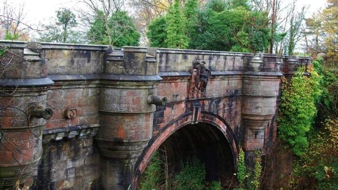 Haunted Bridge: इस रहस्यमयी पुल पर आते ही कुत्ते कूद जाते हैं नीचे, अब तक जा चुकी है 50 की जान