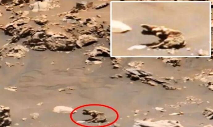 मंगल पर दिखा अजीबो-गरीब जानवर, नासा ने शेयर की फोटो 