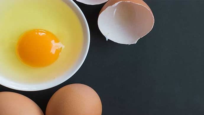 अंडा खाने से मोटापा होता है दूर, बस Weight Loss के लिए मिला लें ये 3 चीजें