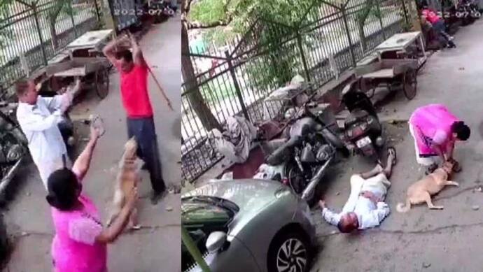 सोशल मीडिया पर वायरल हुआ ये Shocking Video, कुत्ते के भौंकने पर खुद को 'शेर' समझकर टूट पड़ा ये शख्स