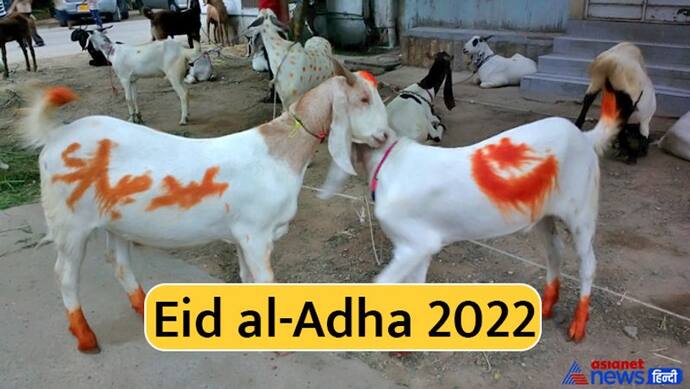 Bakrid 2022: कुर्बानी का संदेश देता है बकरीद का त्योहार, जानिए इस बार कब मनाया जाएगा ये पर्व? 