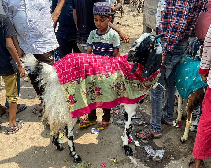 Eid Al Adha: मीना बाजार में 35 लाख रुपये का बकरा, इसकी लाइफस्टाइल देखकर कोई भी हो जाएगा हैरान