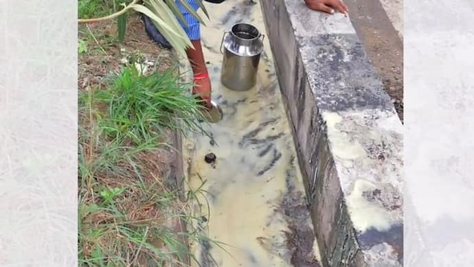 राजस्थान में नाले में पानी की की जगह बहने लगा देसी घी: लूटने के लिए लोगों में मची होड़,जानिए क्या है मामला