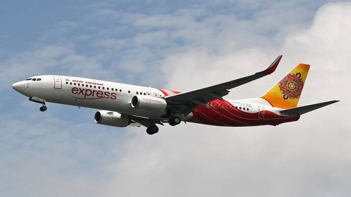 37 हजार फीट की ऊंचाई पर उड़ रहा था एयर इंडिया का विमान, कॉकपिट में पायलट के सामने आ गई जिंदा चिड़िया