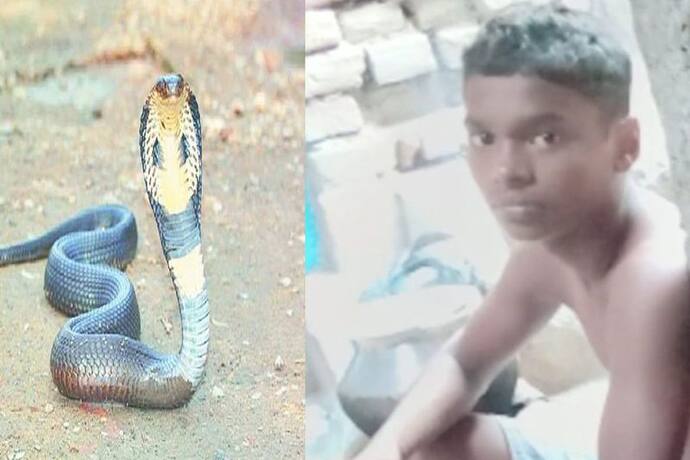 बिहार में अनोखा मामला: इस बच्चे को बार-बार काटता है सांप, ग्रामीणों ने जो बात बताई वो कर देगी हैरान