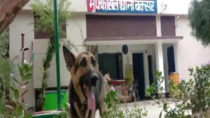 बिहार का अनोखा मामलाः प्रदेश की शराबबंदी कानून का शिकार हुआ विदेशी कुत्ता, मालिक ने भी नहीं दिया साथ