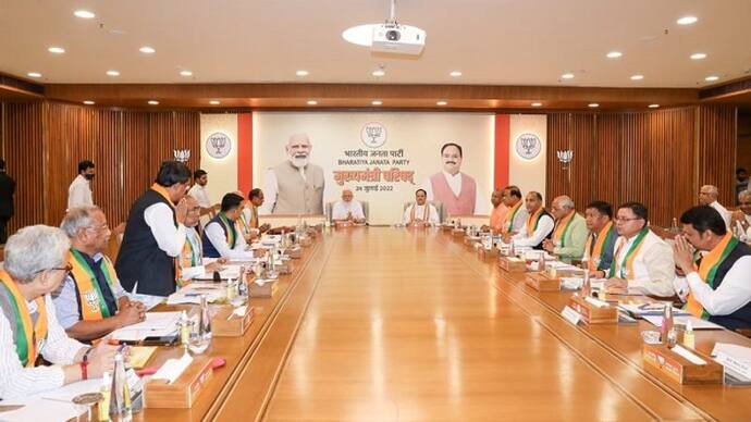 BJP Meeting PM modi hold meeting with CM