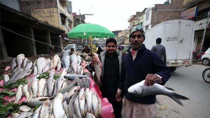 अगर आप सड़क से मछलियां खरीदकर खा रहे हैं, तो पाकिस्तान के 'मच्छी बाजार' की ये चौंकाने वाली रिपोर्ट पढ़ लें