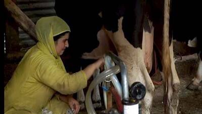 कश्मीर में बड़े-बड़े लोग इनकी डेयरी का दूध पीते हैं, 'डेयरी क्वीन' के नाम से फेमस हैं शहजादा अख्तर