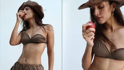 Bold Photoshoot: चॉकलेट बिकिनी पहने तृप्ति डिमरी ने भीगे बदन इंटरनेट पर लगाई आग