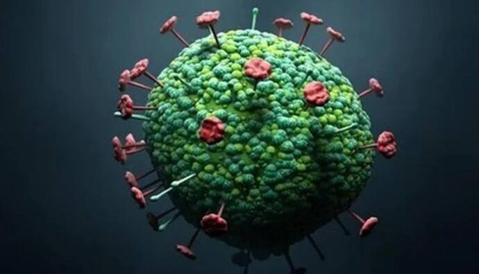 चीन में मिला जूनोटिक लैंग्या वायरस, अब तक 35 लोग संक्रमित मिले, ह्यूमन टू ह्यूमन संक्रमण का खतरा नहीं