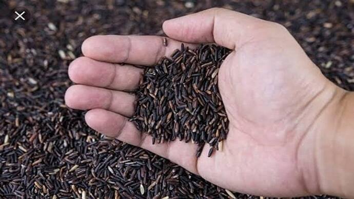 चंदौली का काला चावल: पूरा होने लगा किसानों की आय दोगुना करने का पीएम-सीएम का सपना 