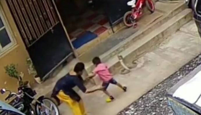 मां ने कैसे विशालकाय कोबरा से अपने बच्चे को बचाया.. देखिए दिल दहलाने वाला वीडियो 