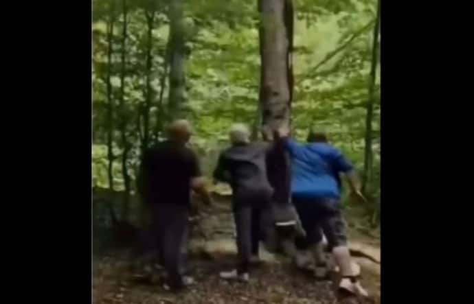 3 इंसानों ने पेड़ काटा, मगर जमीन पर गिरने से पहले इसी पेड़ ने अनोखे अंदाज में उन्हें सिखाया सबक, देखिए वीडियो 