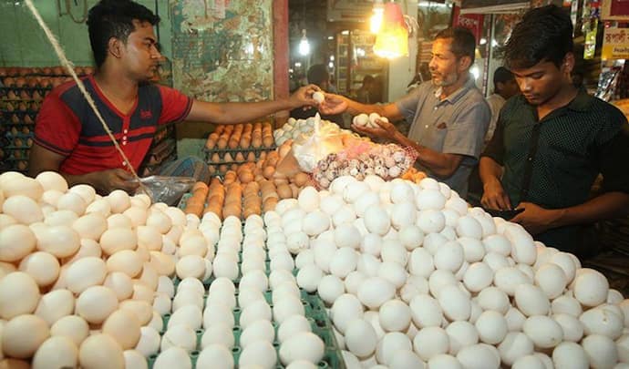 संडे हो या मंडे, रोज कैसे खाएं अंडे: श्रीलंका के रास्ते पर चल पड़ा बांग्लादेश, जानिए Egg Markets का हाल