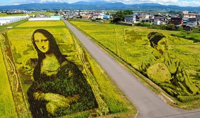 Amazing art: जब धान की फसल लहलहाती है, तो मोनालिसा मुस्कराती है, इसके पीछे छुपा है दिलचस्प इतिहास