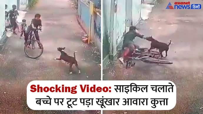 साइकिल चला रहे बच्चे पर ऐसे झपटा आवारा कुत्ता कि CCTV देखकर लोग कांप उठे, कइयों पर अटैक कर चुका था पहले