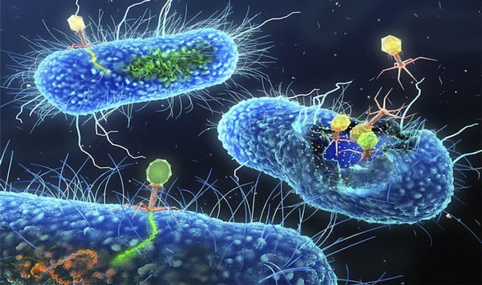 Superbug बना दुनिया का सबसे खतरनाक 'यमदूत', हर साल 1 करोड़ की जान लेगा ये !