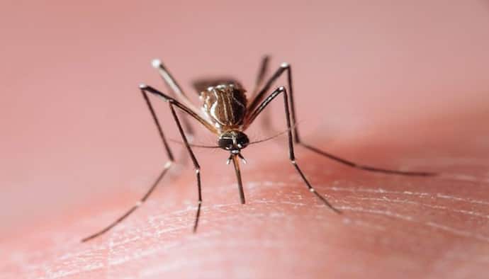 ঋতুপরিবর্তনের সমস্যা ভেবে উপেক্ষা করবেন না এই কয়টি জটিলতা, হতে পারে Mild Dengue