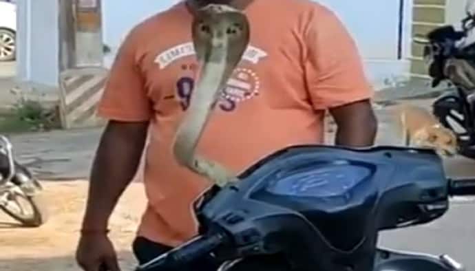 स्कूटी में छिपे कोबरे को निकालने जो ट्रिक अपनाई वो थी बेहद खतरनाक, अधिकारी ने लगा दी क्लास 