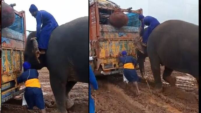  वाह गजराज: कीचड़ में फंसे 3 ट्रकों को हाथी खींच ले गया, वीडियो देख लोग बोले-सूंड ने तो कमाल कर दिया