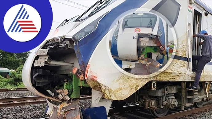 वंदे भारत एक्सप्रेस ट्रेन के सामने आई भैंसें, अगला हिस्सा क्षतिग्रस्त, बड़ा हादसा टला