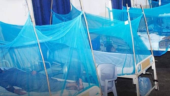 महामारी की तरह फैली मलेरिया की बीमारी तो पाकिस्तान को आई अकल, भारत से खरीदेगा 62 लाख मच्छरदानी