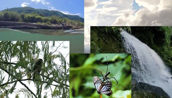Viral video, Nature, Social Media Tourism, Northeast India, Arunachal Tourism, tourism industry