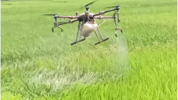 drone protection in chekadi paddy field