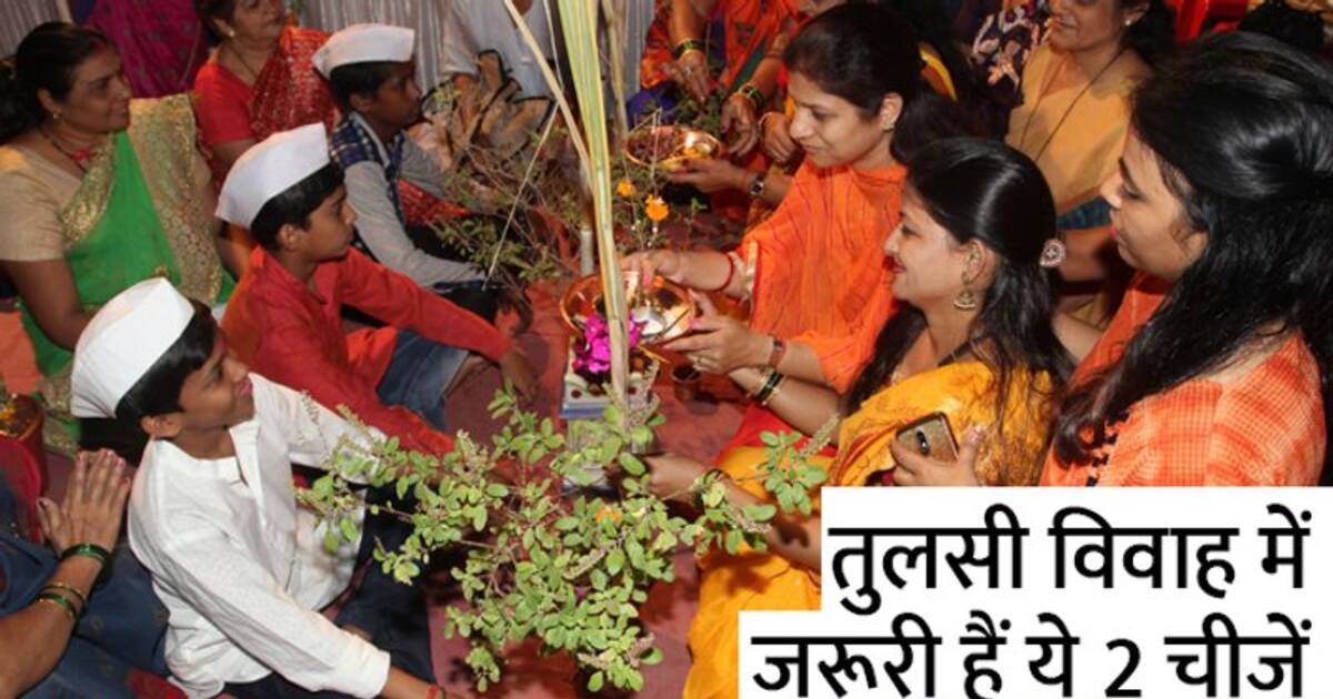 Tulsi Vivah 2022 तुलसी विवाह में गन्ने और केले के पत्तों से ही मंडप क्यों सजाते हैं