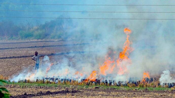 पराली जलाने पर एक्शन लेने में 'लाचार' साबित हुई पंजाब की AAP सरकार, 3 महीने में 30000 मामले