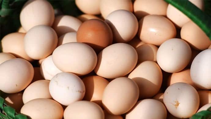 अंडे के नाम पर कहीं प्लास्टिक तो नहीं खा रहे आप? चाइना से भारत आ रहा एक और स्लो पॉइजन