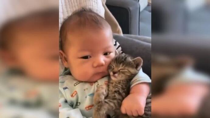 Cute Video : बिल्ली के बच्चे के साथ इस नवजात का वीडियो देखकर आपको भी आ जाएगा प्यार