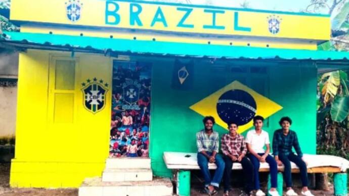 brazil fan- football world cup 2022