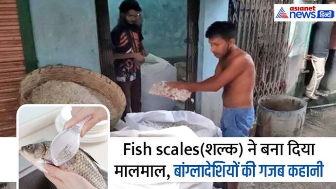  बांग्लादेशियों ने सीखे मछली के इतने सारे उपयोग कि हर तरफ से पैसा आ रहा है, पढ़िए इंटरेस्टिंग स्टोरी