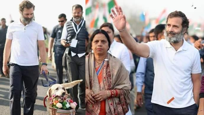 Bharat Jodo Yatra: दो कुत्तों को स्वागत करने आया देख खुश हुए राहुल गांधी, गुलदस्ता लेकर किया दुलार