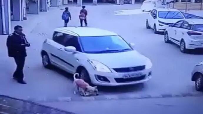 चूहे के बाद कुत्ते का कराया गया पोस्टमार्टम, कार से कुचलकर हुई थी मौत, दिल दहलाने वाला वीडियो आया था सामने