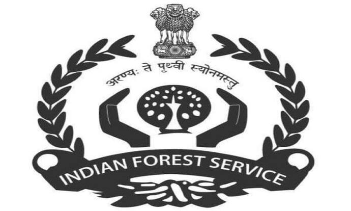UPSC ने जारी किया भारतीय वन सेवा की मुख्य परीक्षा का परिणाम, 5 स्टेप्स में समझिए कैसे डाउनलोड होगा रिजल्ट 