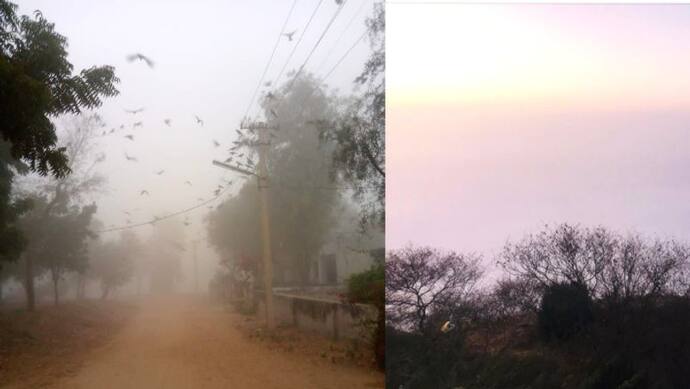 राजस्थान weather report: प्रदेश में अब मिलेगी सर्दी से थोड़ी राहत, हालांकि कोहरे ने किया जनजीवन प्रभावित