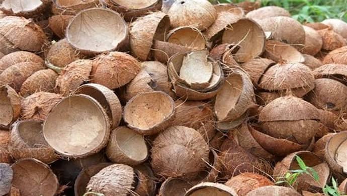 Amazon पर धड़ल्ले से बेची जा रही नारियल की खोल, प्राइज देखकर चटका यूजर्स का दिमाग
