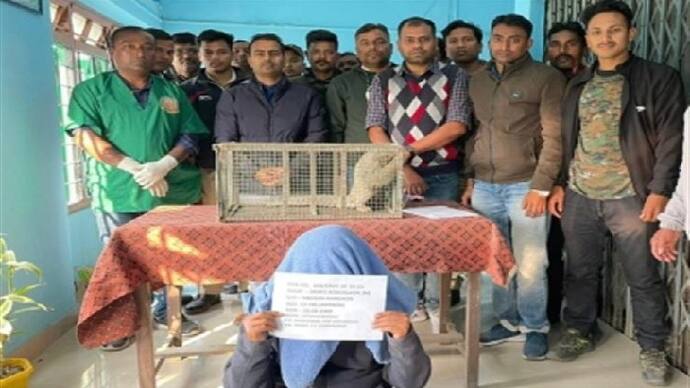 TMC Leader arrested with pangolin