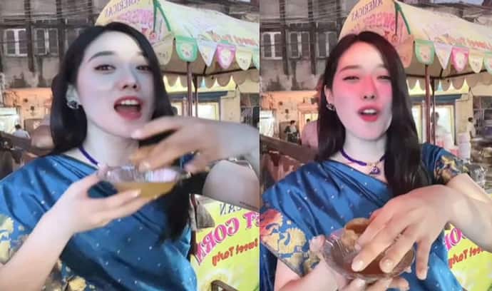 साड़ी पहनकर विदेशी लड़की ने सड़क किनारे खाए गोलगप्पे,Video देख जानें क्यों लोगों को आया 'गुस्सा'