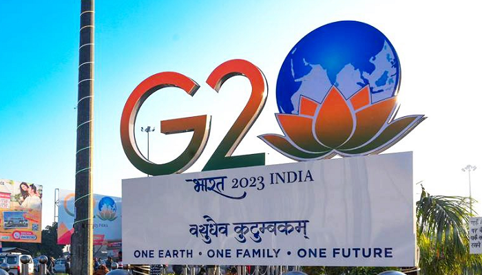 G20 and global investor summit 