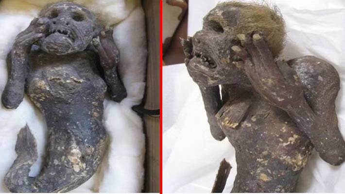 300 year old murmaid mummy truth