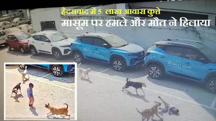  stray dogs in Hyderabad