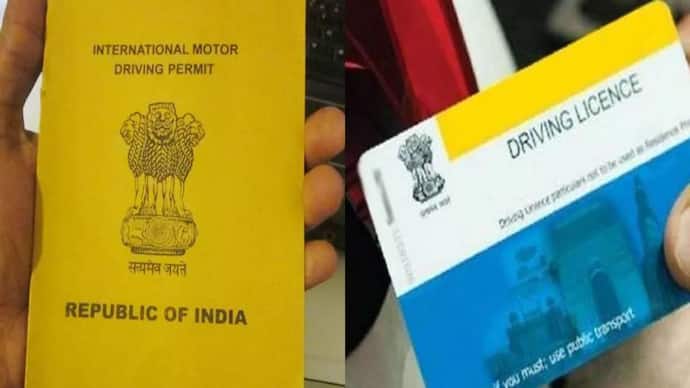  International Driving License